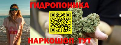 прущие грибы Первоуральск
